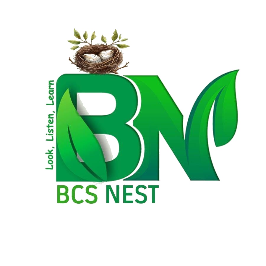 BCS Nest logo